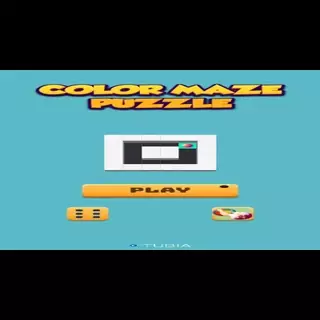 Color Maze Puzzle